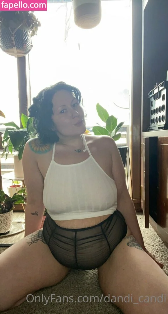 dandi_candi Onlyfans Photo Gallery 