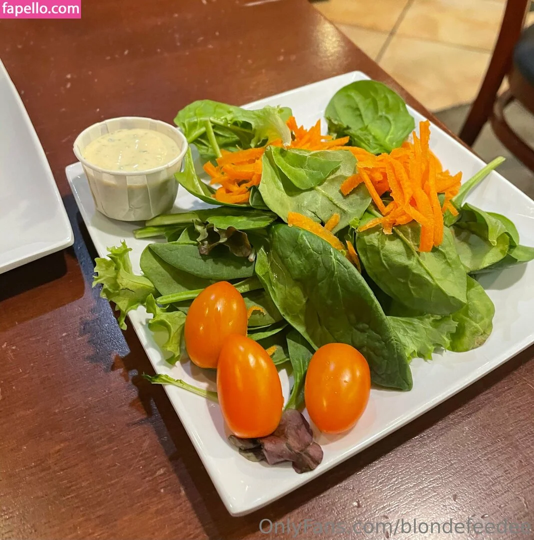 blondefeedee Onlyfans Photo Gallery 