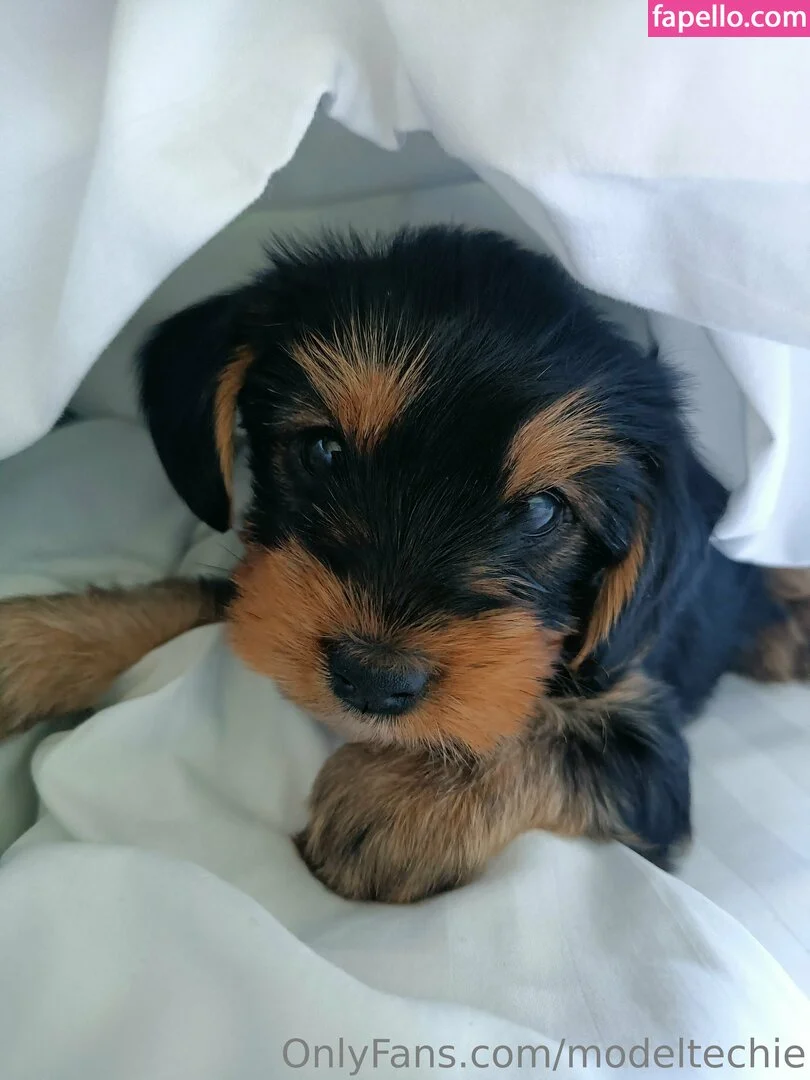 modeltechie Onlyfans Photo Gallery 