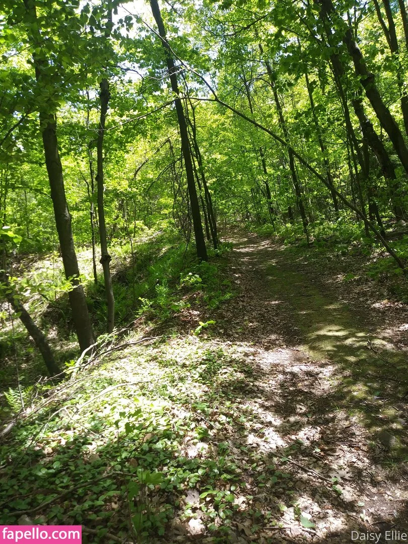 devilishdaisy Onlyfans Photo Gallery 