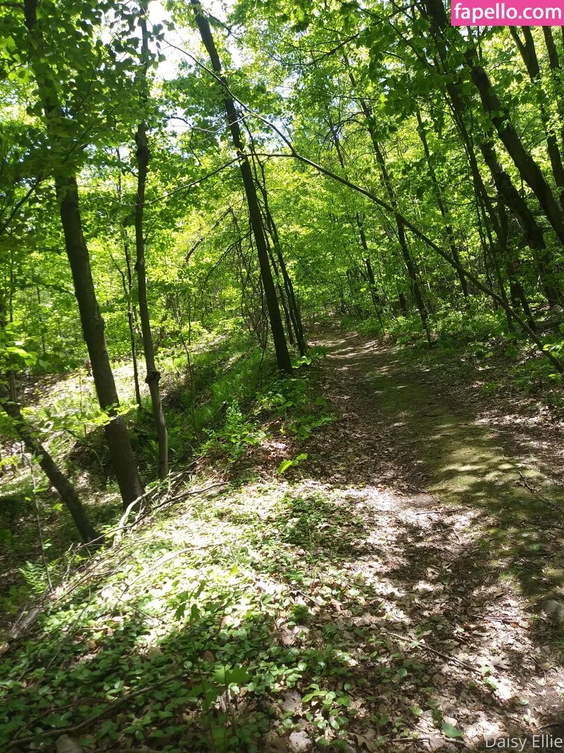 devilishdaisy Onlyfans Photo Gallery 