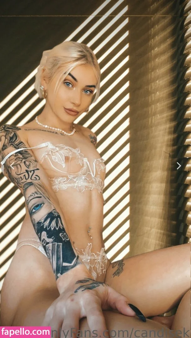 Candisek Onlyfans Photo Gallery 