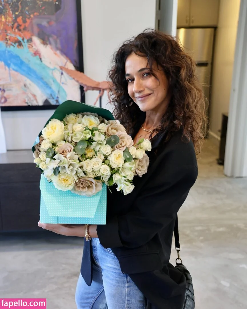 Emmanuelle Chriqui Onlyfans Photo Gallery 