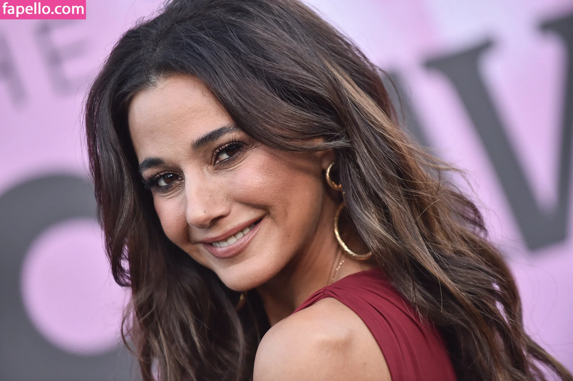 Emmanuelle Chriqui Onlyfans Photo Gallery 