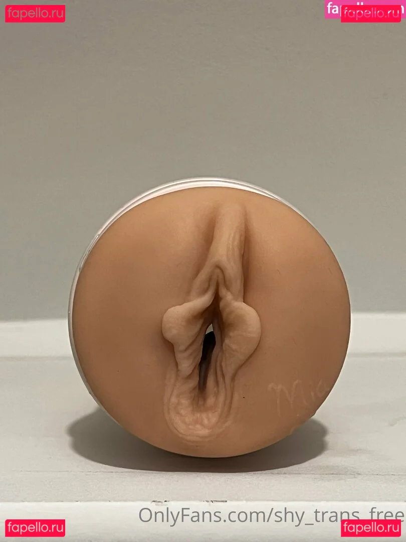 shy_trans_free Onlyfans Photo Gallery 