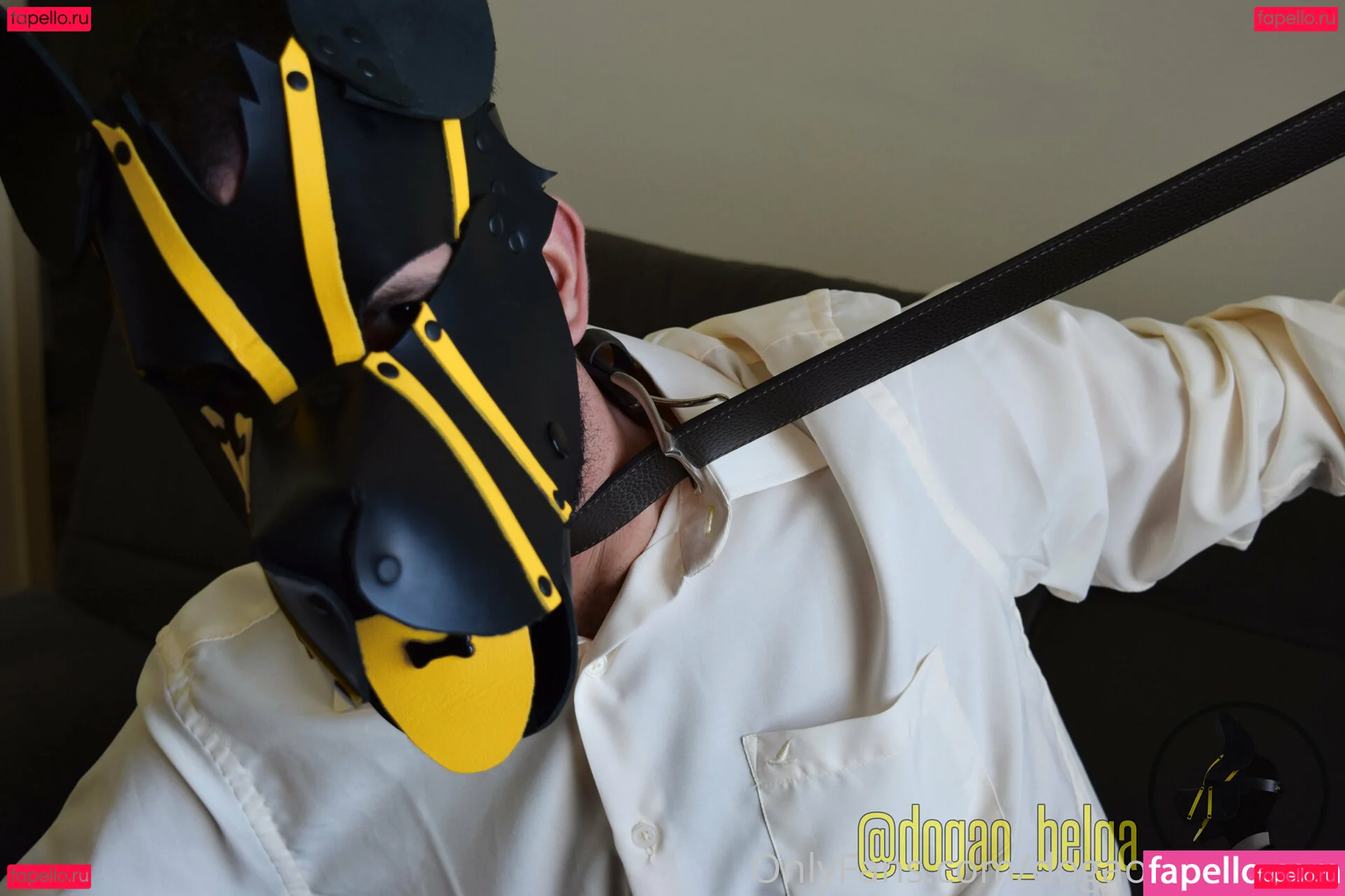 dogao_belgafree Onlyfans Photo Gallery 