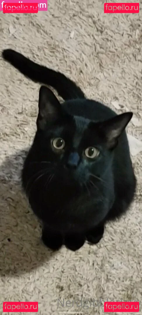 nerdgibblerluvv Onlyfans Photo Gallery 