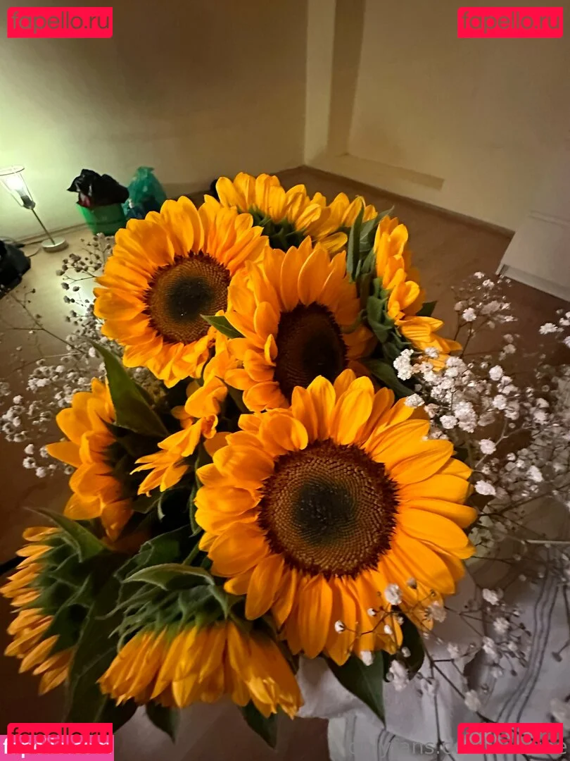 evavee Onlyfans Photo Gallery 