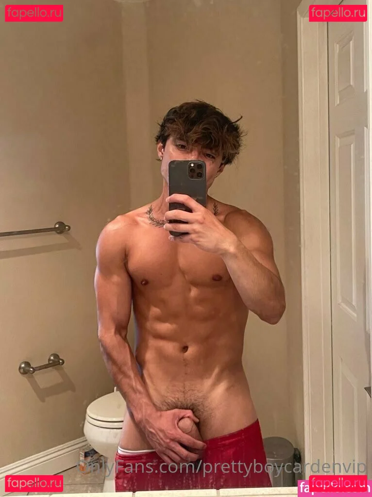 aedanvip Onlyfans Photo Gallery 