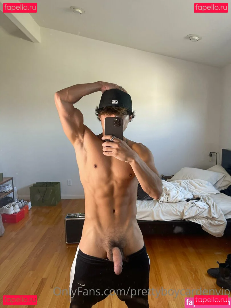 aedanvip Onlyfans Photo Gallery 