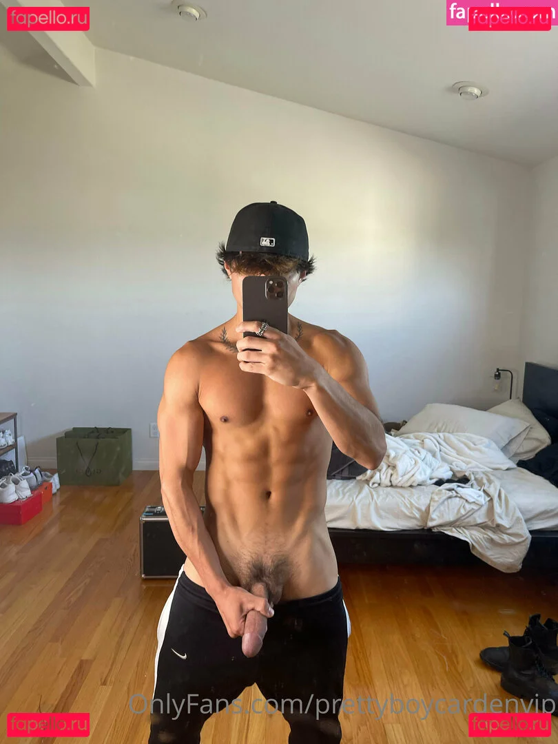 aedanvip Onlyfans Photo Gallery 