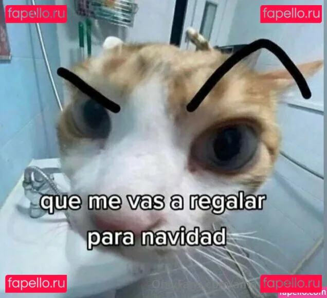 amaviudanegra Onlyfans Photo Gallery 