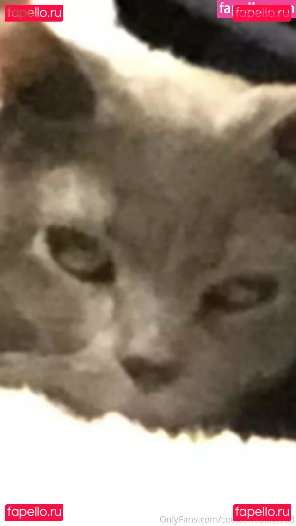 couldshouldwood Onlyfans Photo Gallery 