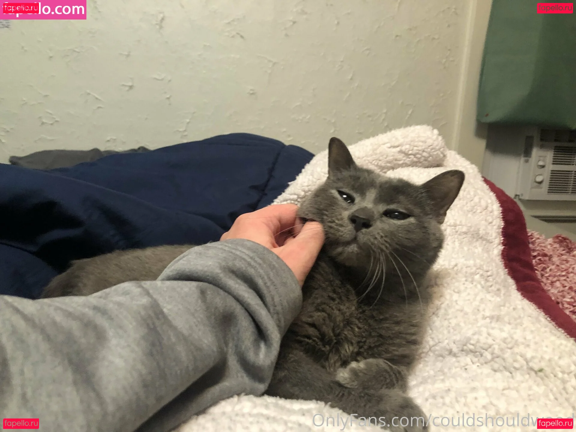 couldshouldwood Onlyfans Photo Gallery 