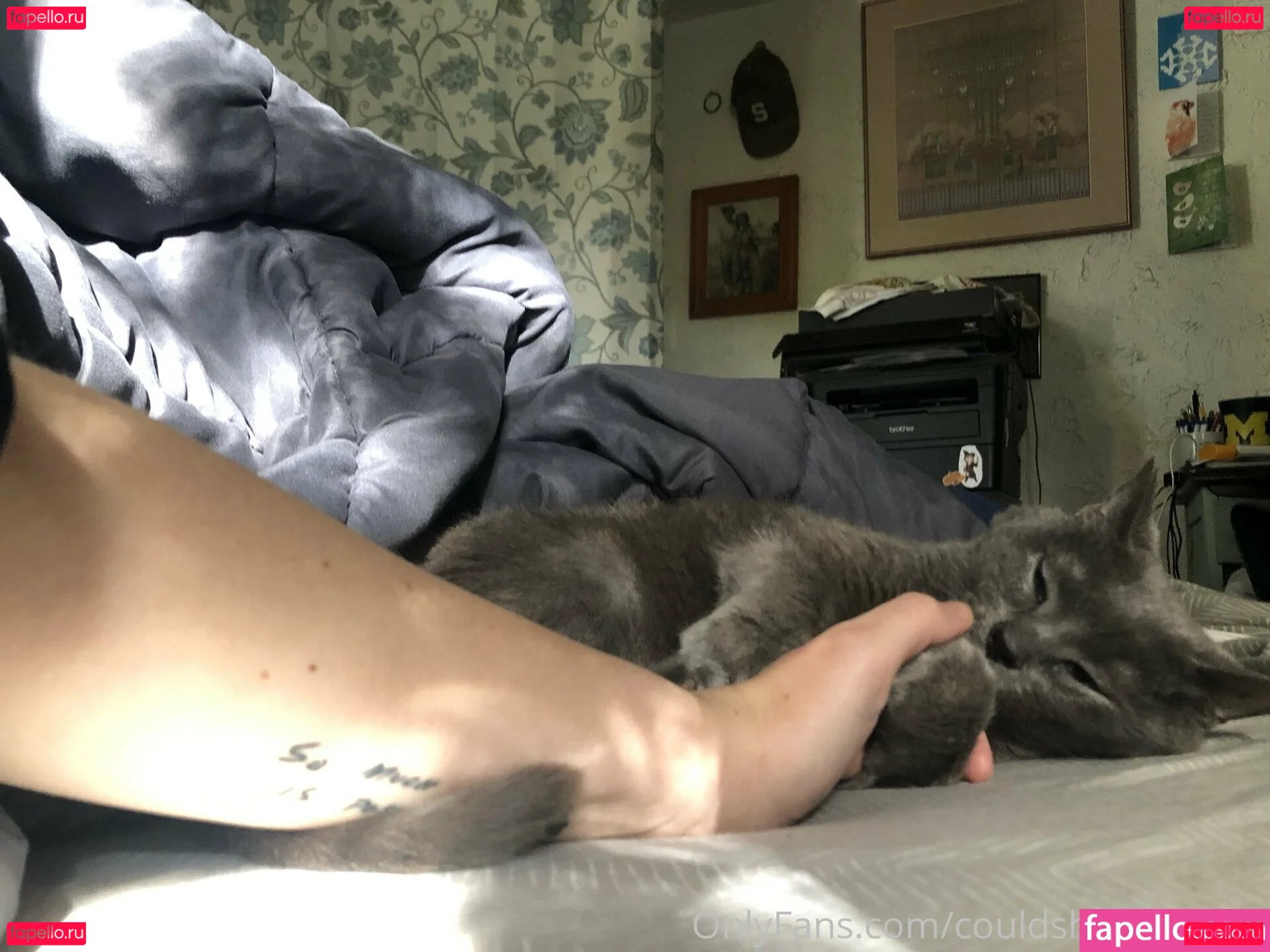 couldshouldwood Onlyfans Photo Gallery 