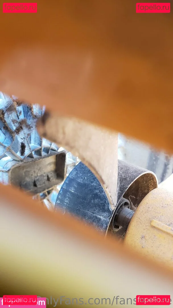 fans4daze Onlyfans Photo Gallery 