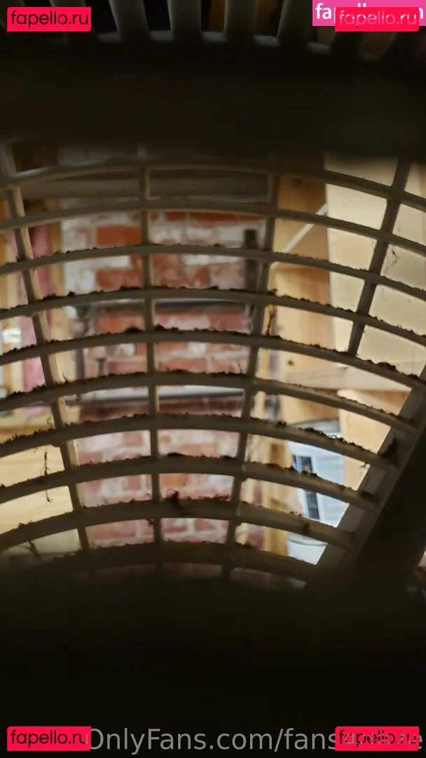 fans4daze Onlyfans Photo Gallery 