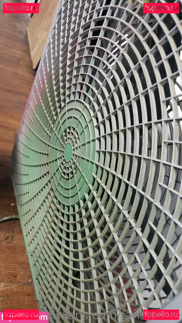 fans4daze Onlyfans Photo Gallery 