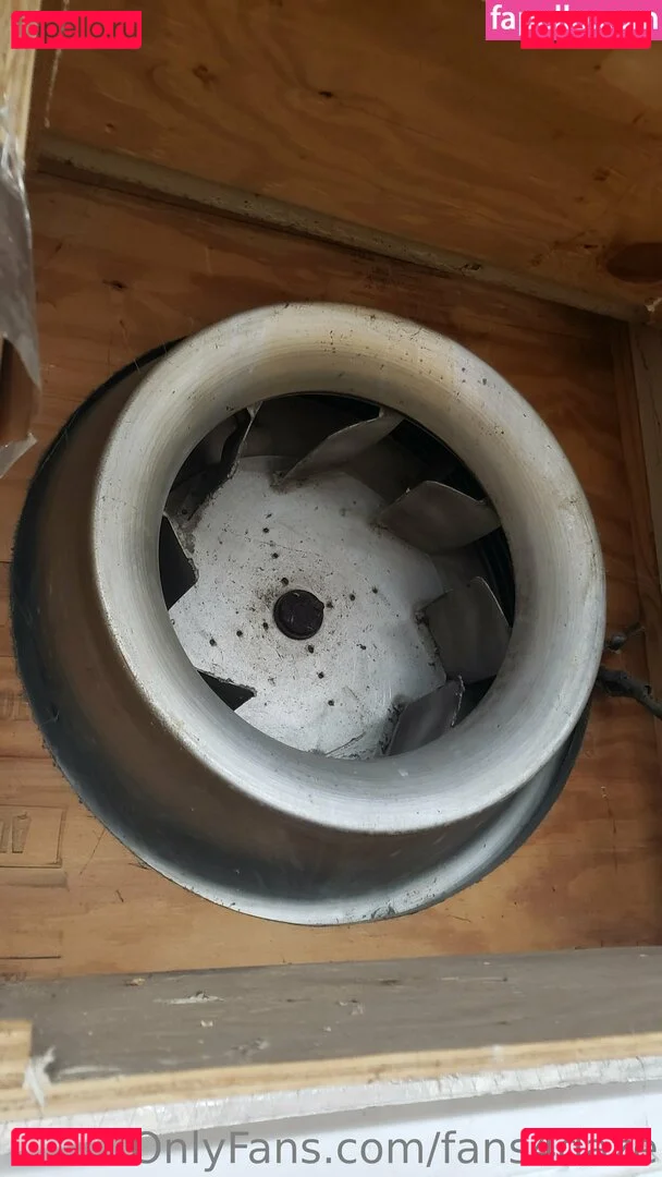 fans4daze Onlyfans Photo Gallery 