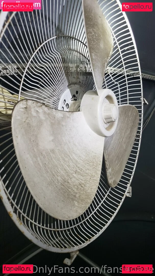 fans4daze Onlyfans Photo Gallery 