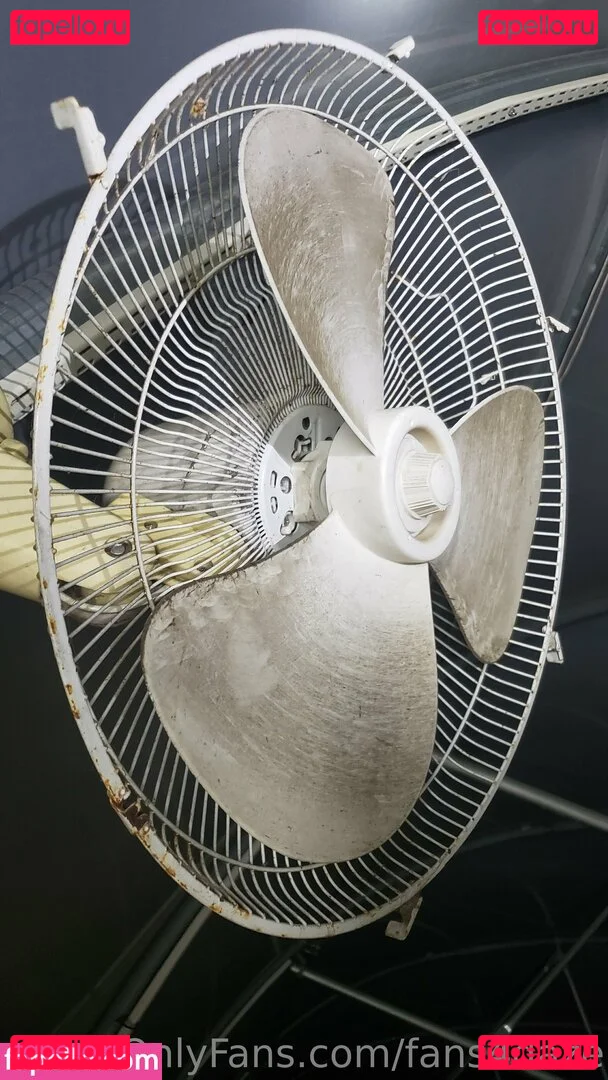 fans4daze Onlyfans Photo Gallery 