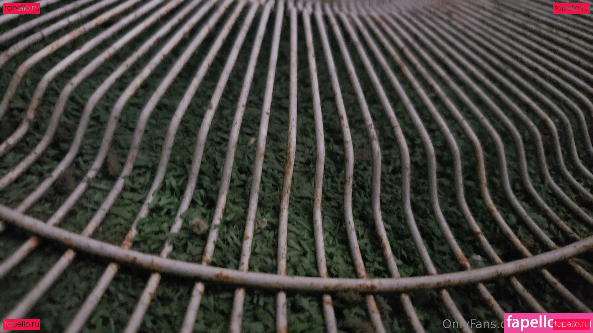 fans4daze Onlyfans Photo Gallery 