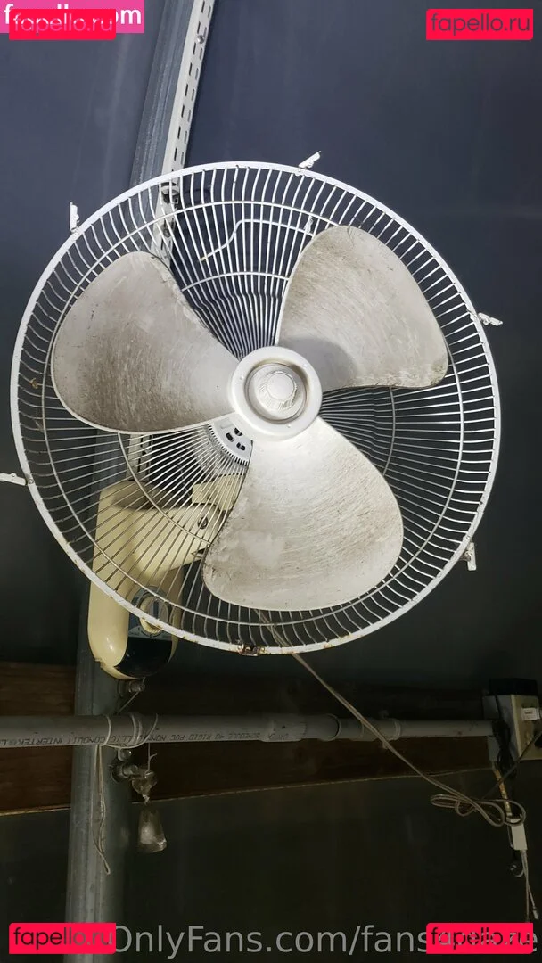 fans4daze Onlyfans Photo Gallery 