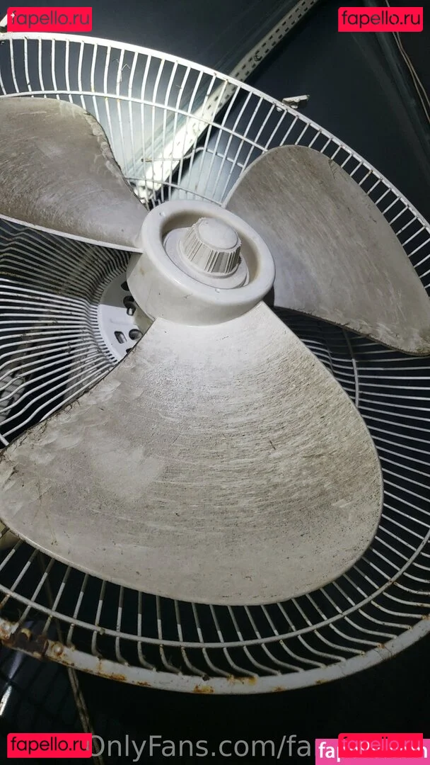 fans4daze Onlyfans Photo Gallery 