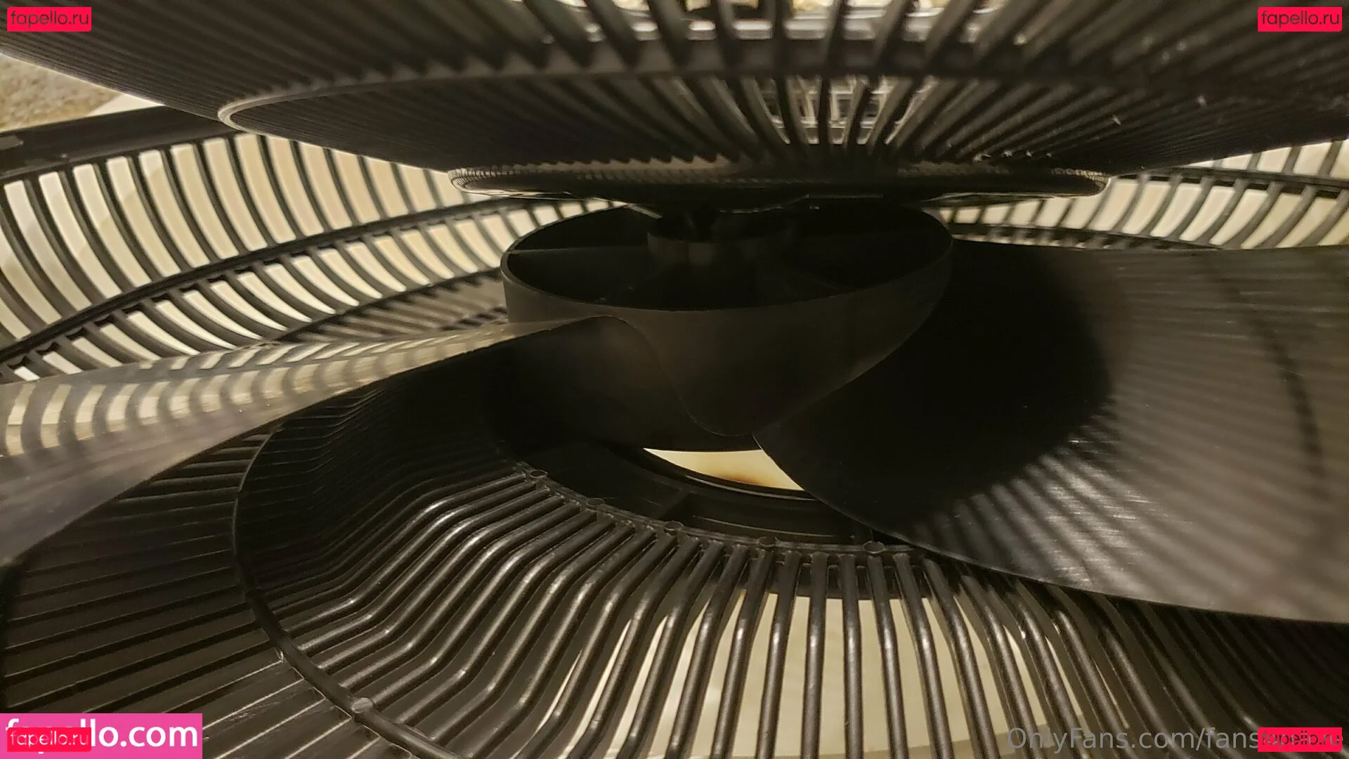 fans4daze Onlyfans Photo Gallery 