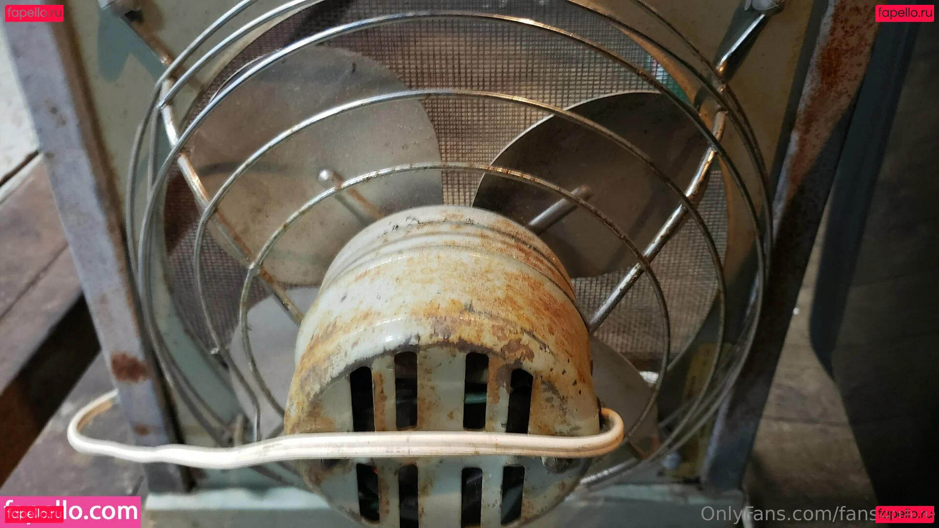 fans4daze Onlyfans Photo Gallery 