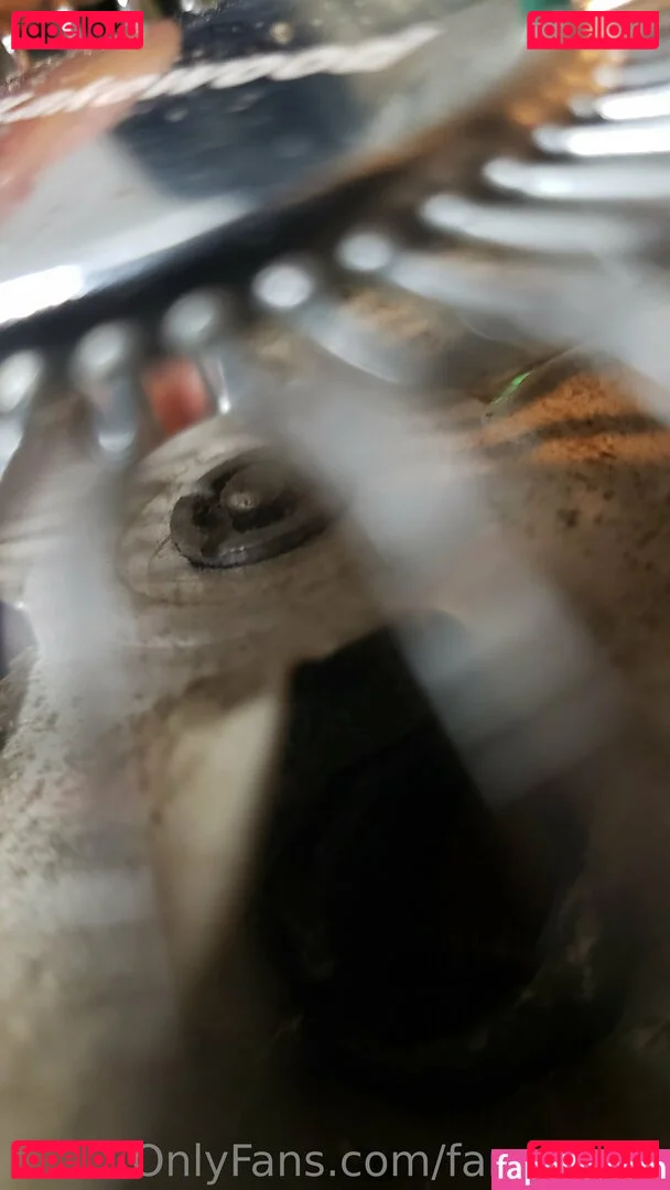 fans4daze Onlyfans Photo Gallery 