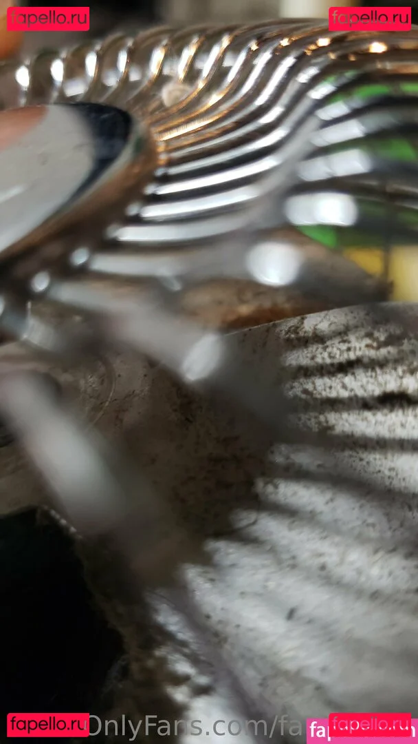 fans4daze Onlyfans Photo Gallery 