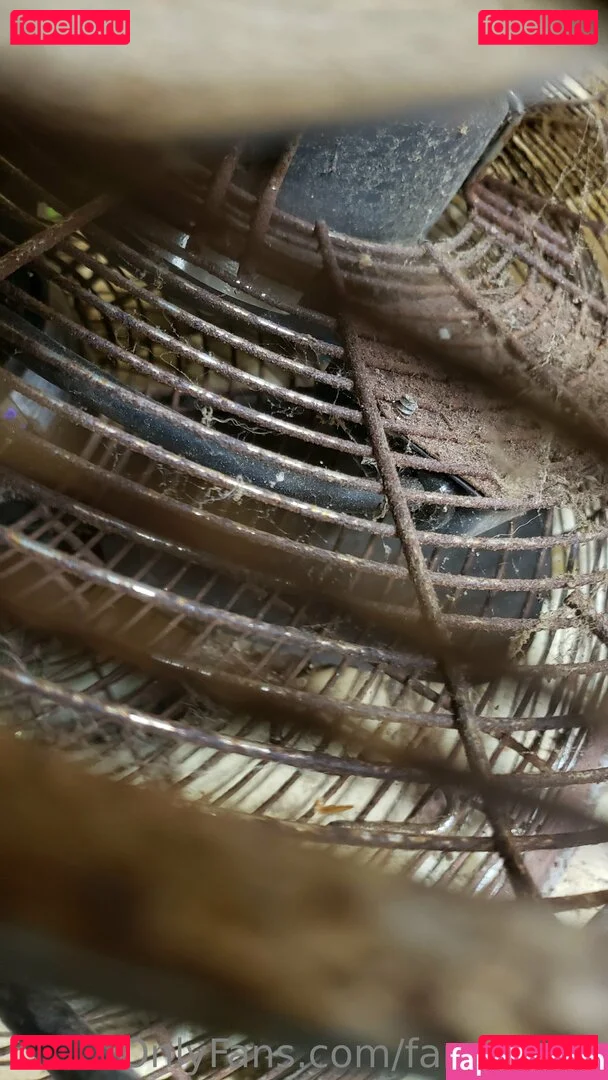 fans4daze Onlyfans Photo Gallery 