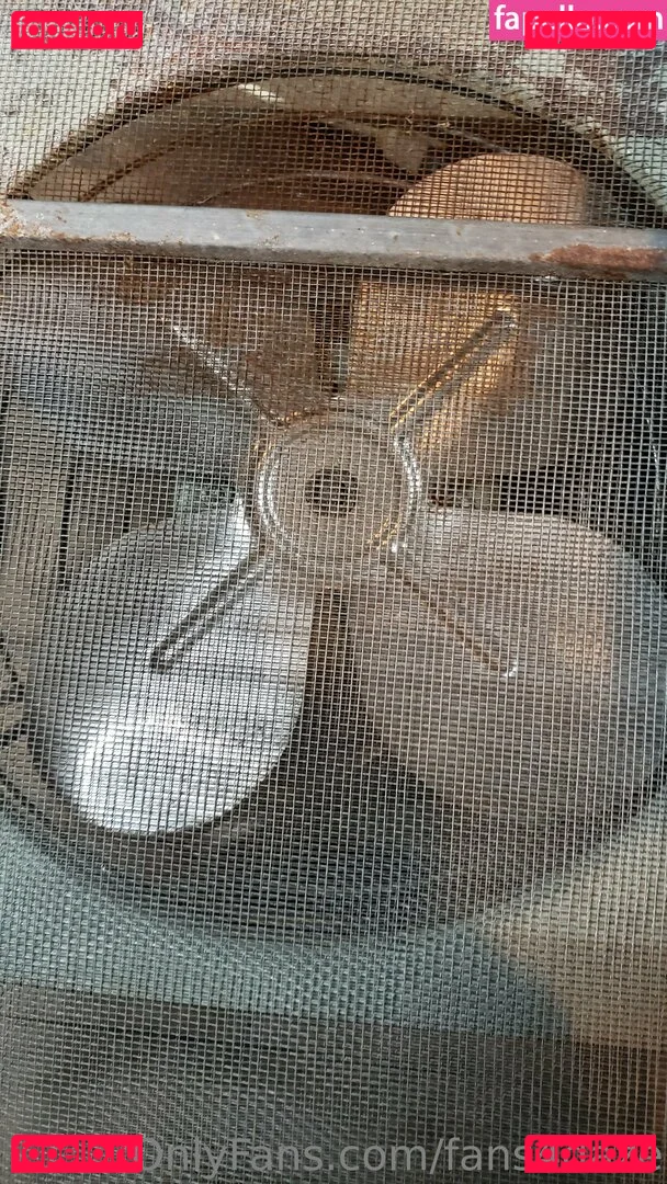 fans4daze Onlyfans Photo Gallery 