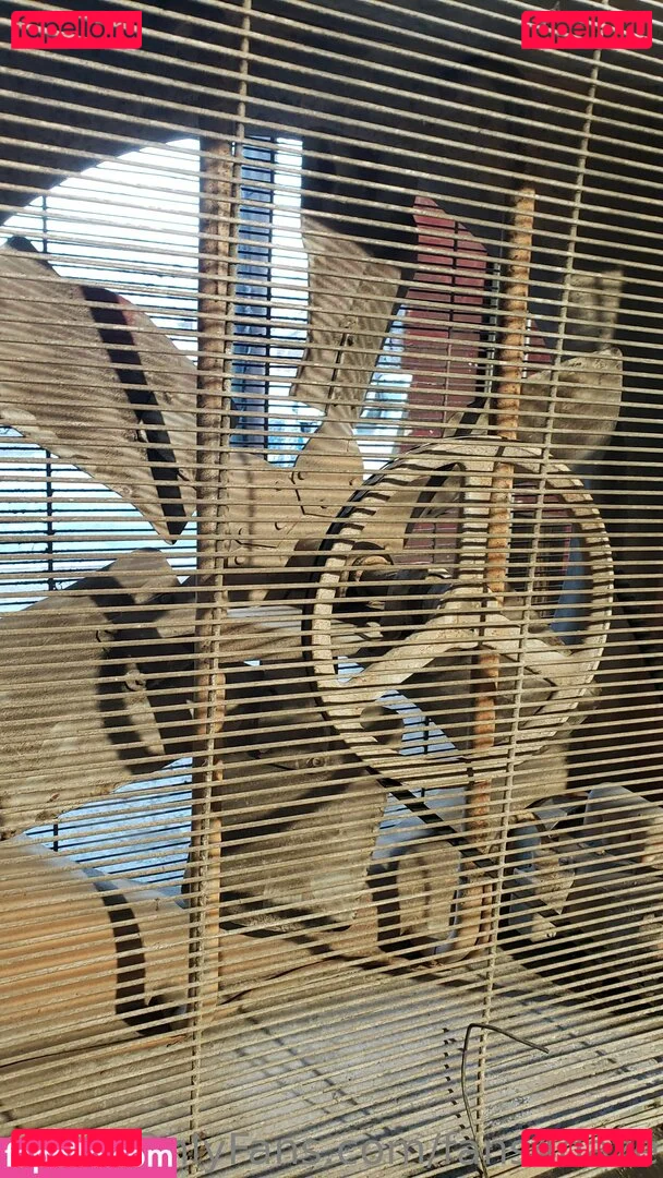 fans4daze Onlyfans Photo Gallery 