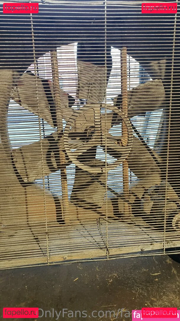 fans4daze Onlyfans Photo Gallery 