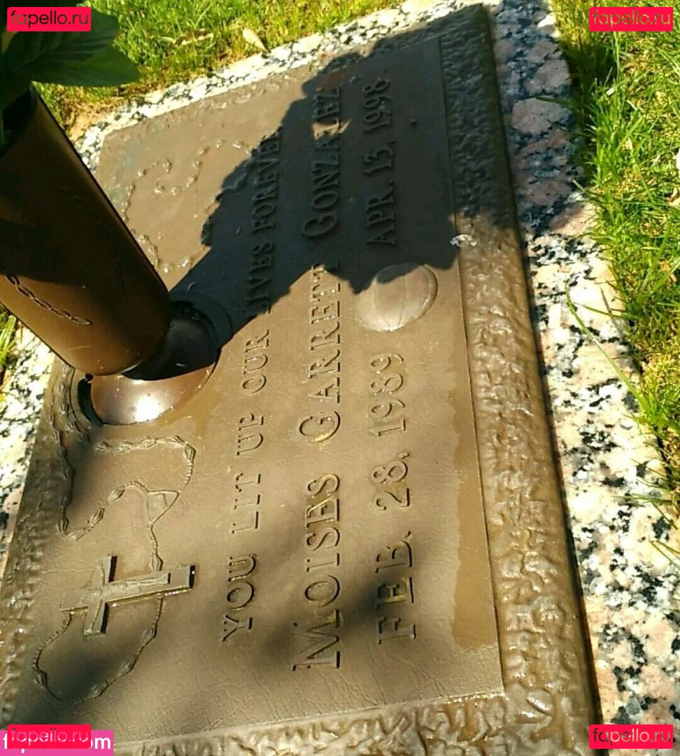 drearoseee Onlyfans Photo Gallery 