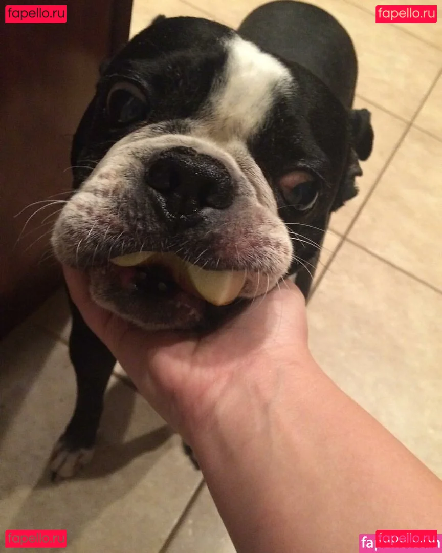 drearoseee Onlyfans Photo Gallery 