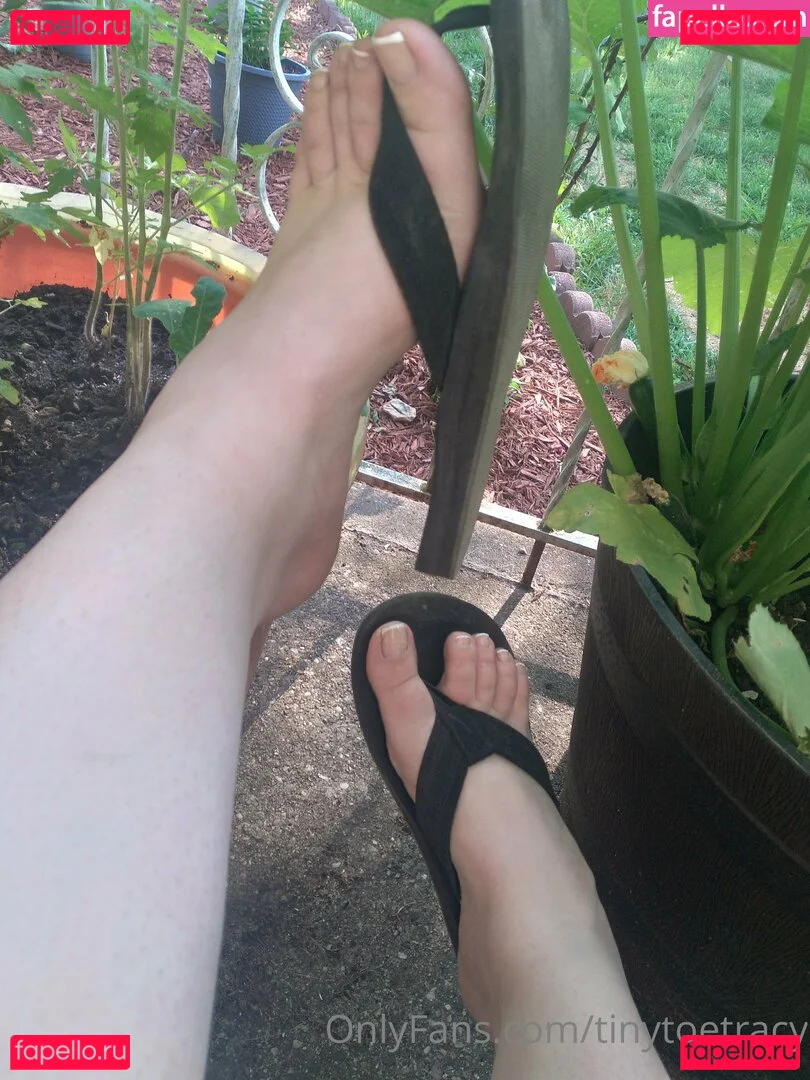 tinytoetracy Onlyfans Photo Gallery 
