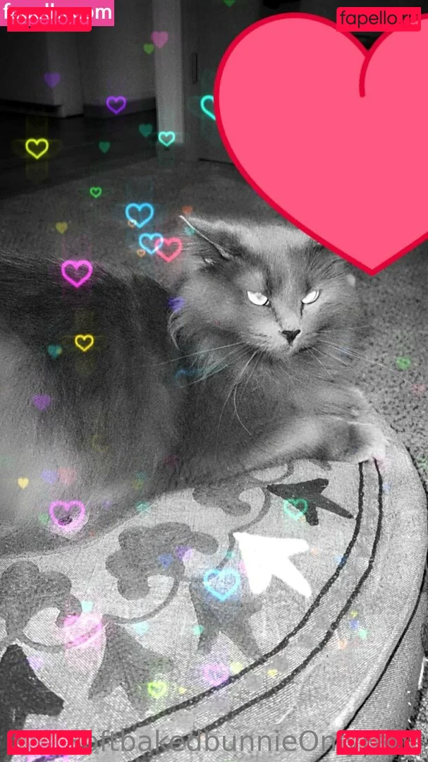 softbakedbunnie Onlyfans Photo Gallery 