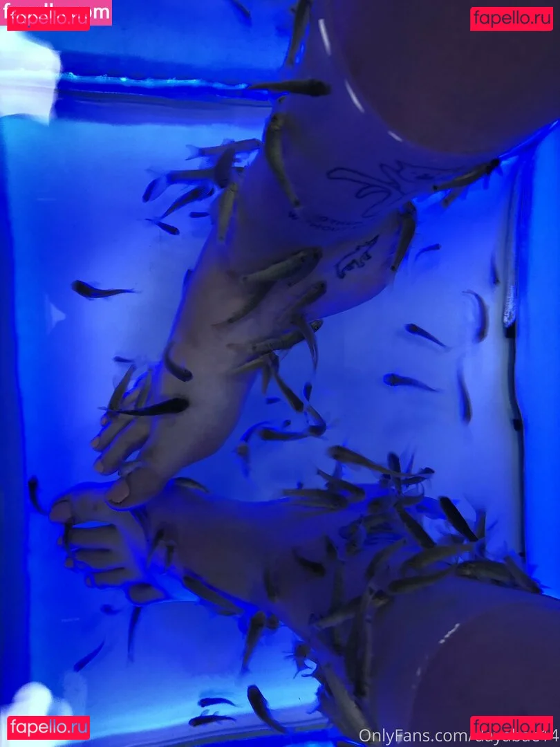 dayabae14 Onlyfans Photo Gallery 