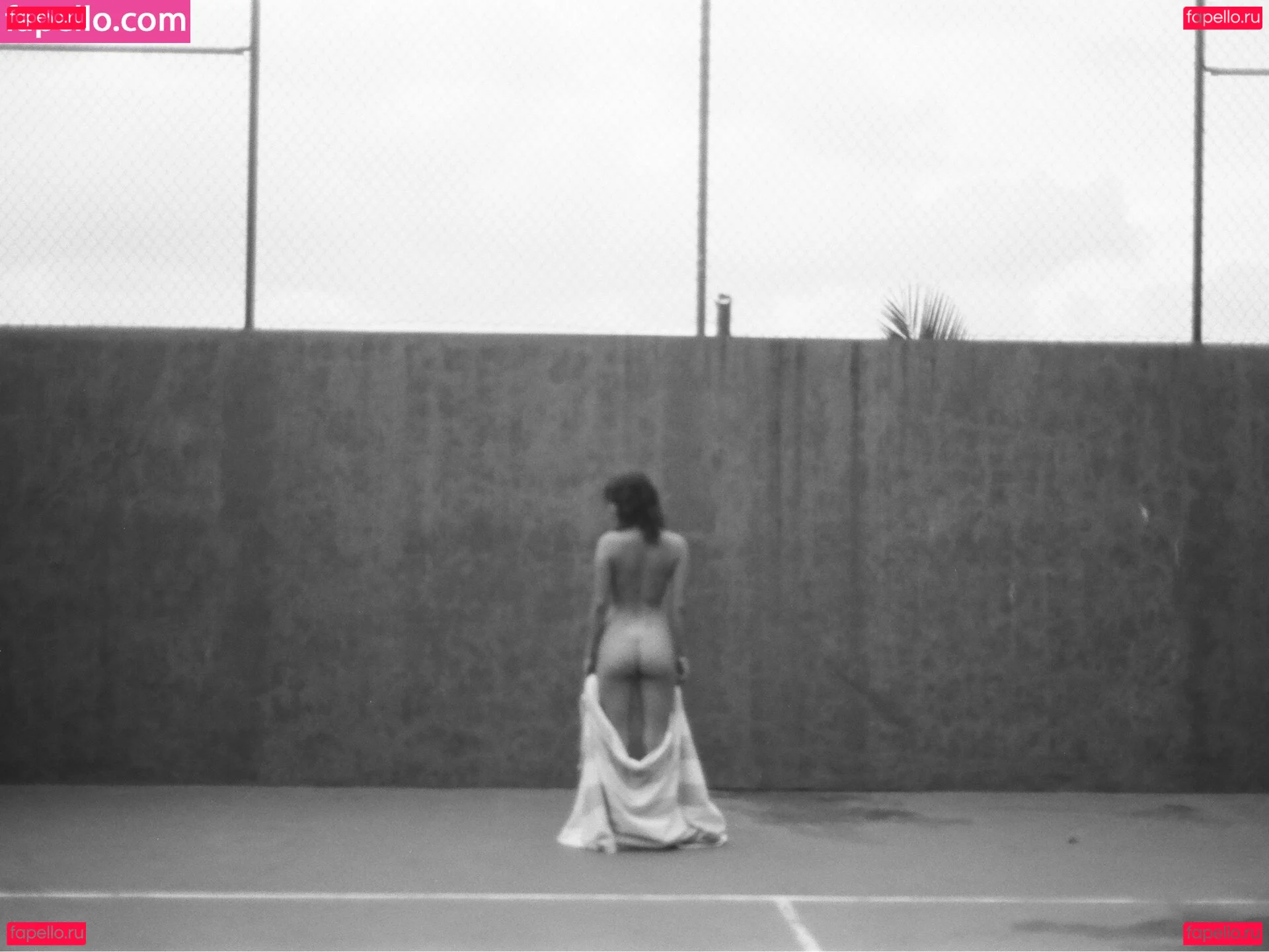 Sierrabravee Onlyfans Photo Gallery 