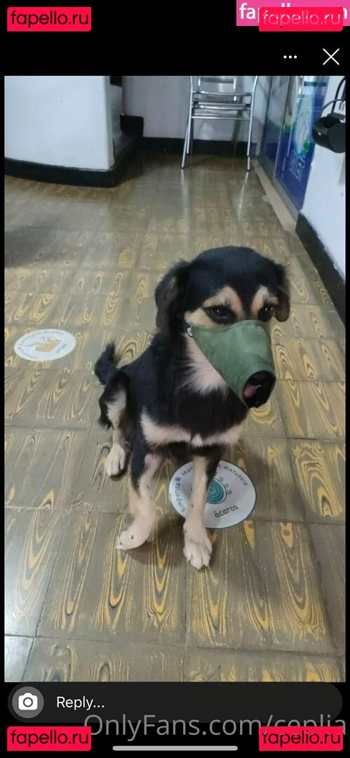 ceplia Onlyfans Photo Gallery 