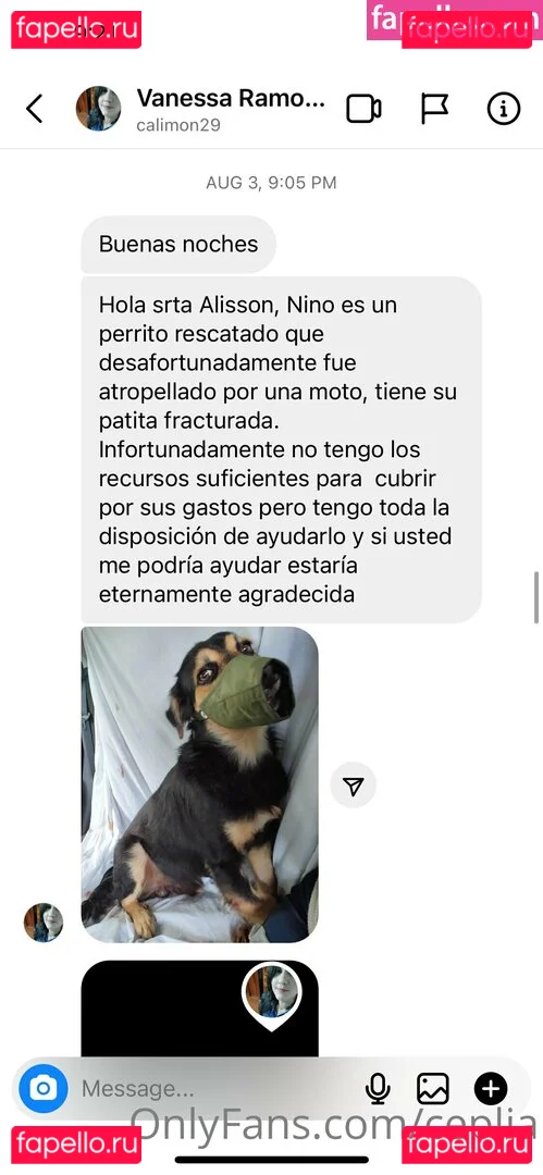 ceplia Onlyfans Photo Gallery 