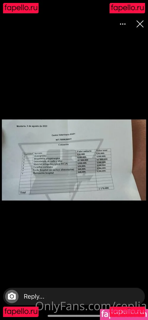 ceplia Onlyfans Photo Gallery 