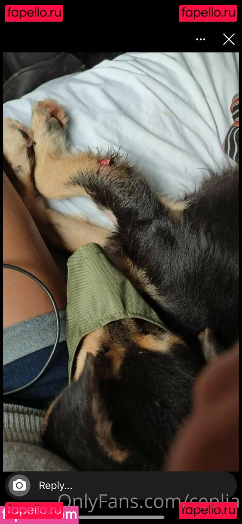 ceplia Onlyfans Photo Gallery 