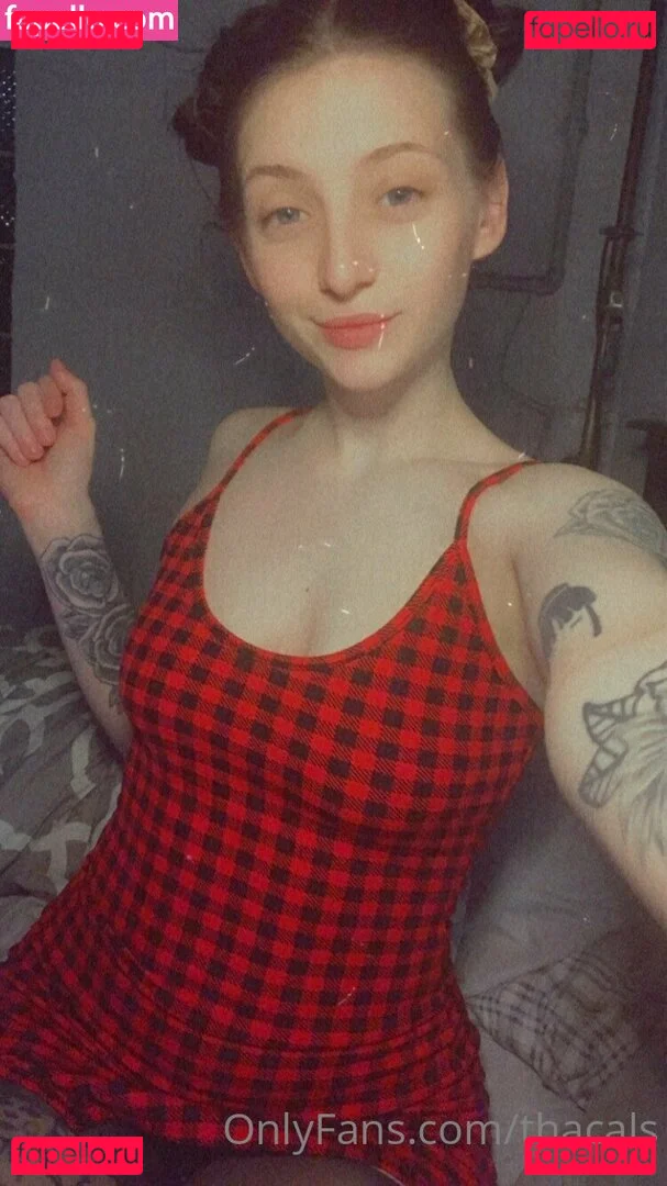 thacals Onlyfans Photo Gallery 