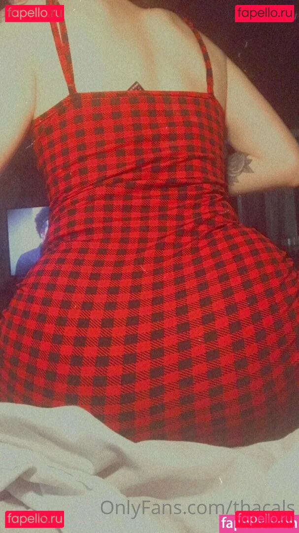 thacals Onlyfans Photo Gallery 