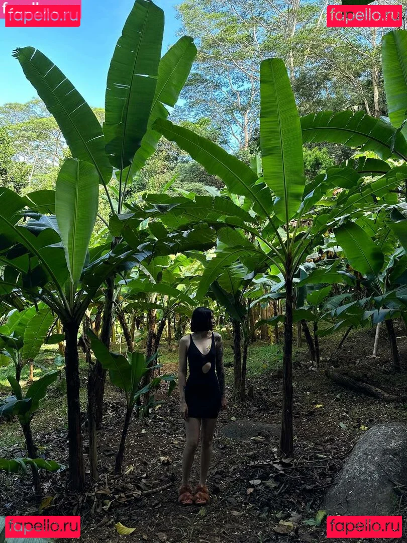 DianaRice Onlyfans Photo Gallery 