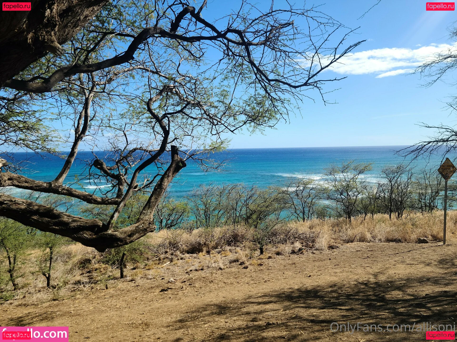 allisonj Onlyfans Photo Gallery 